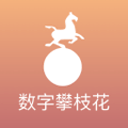 东契奇热身赛19分集锦